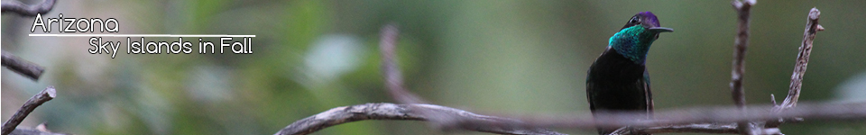 L1050316