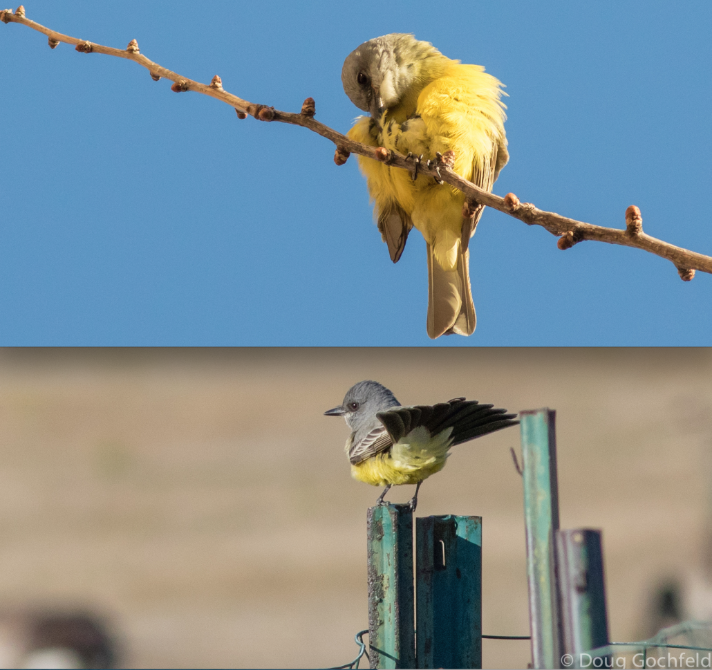 New Mexico – Winter in the Land of Enchantment 2015