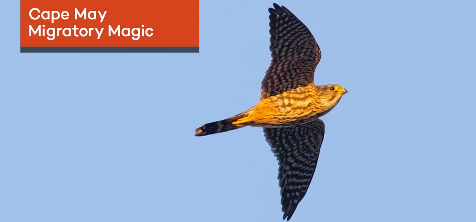 IMG_1618